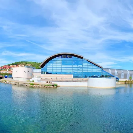 Appartement Cosy Avec Terrasse à 500m De La Plage, Parking, Animaux Admis, Quartier Dynamique - - Fr-1-338-494