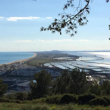 Cosy Avec Terrasse A 500m De La Plage, Parking, Animaux Admis, Quartier Dynamique - - Fr-1-338-494 세테